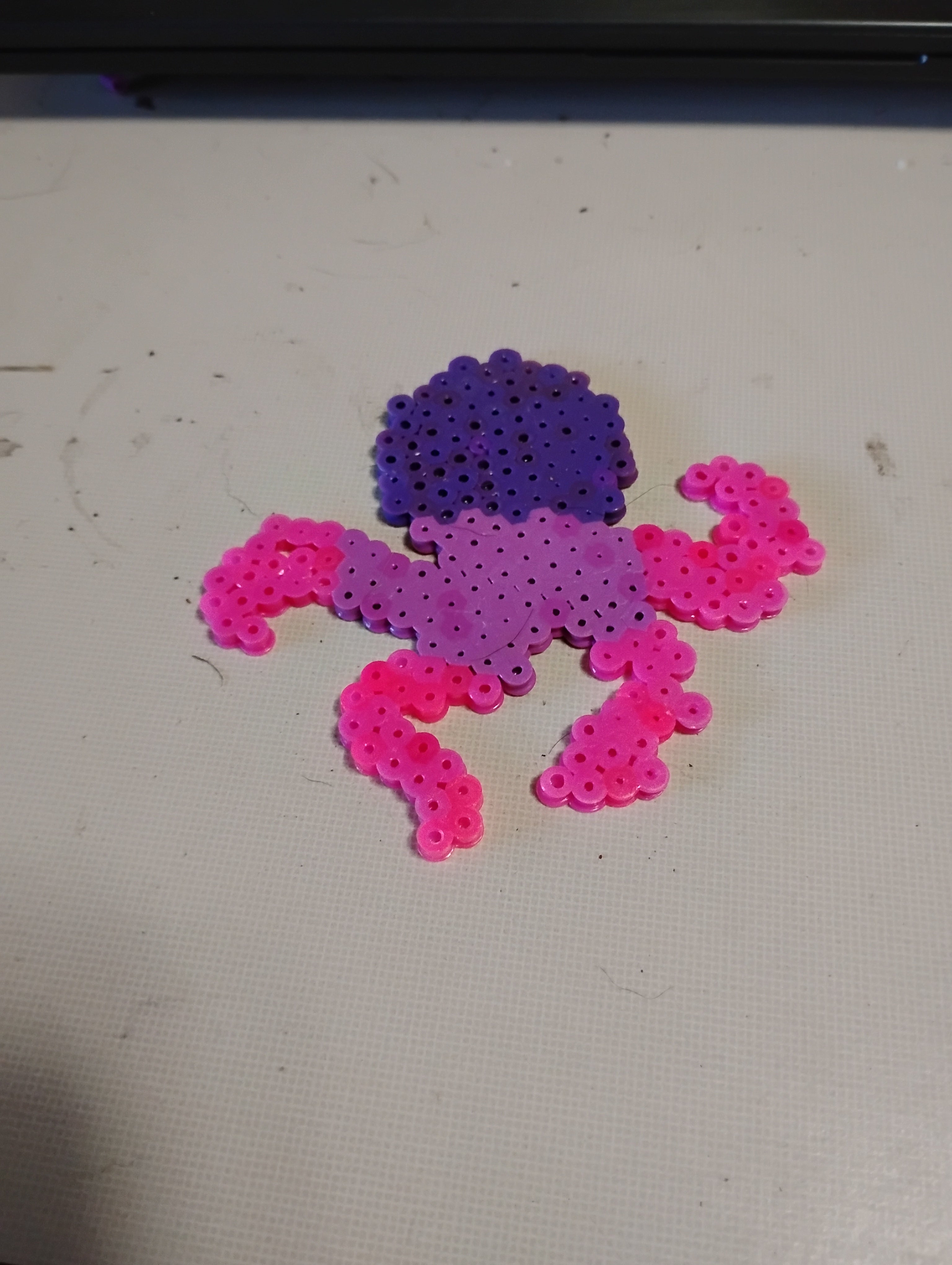 octopus