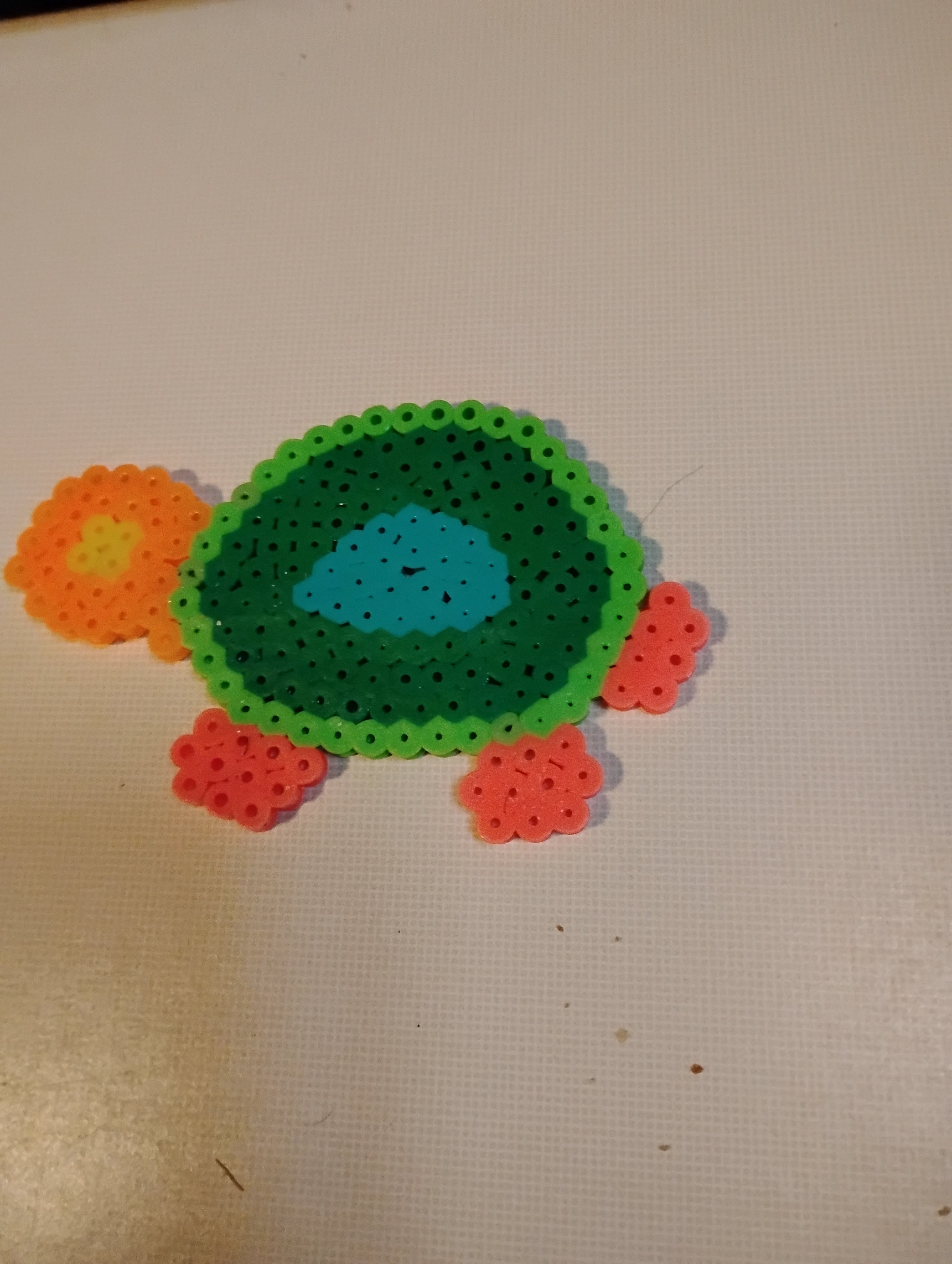 Turtle